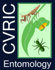 C.V.R.I.C Admin's Avatar