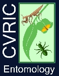 C.V.R.I.C Admin's Avatar